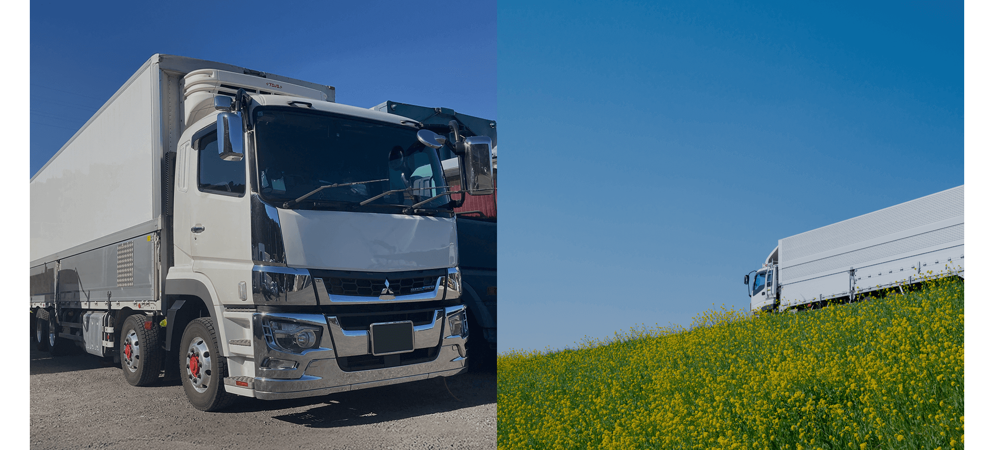 新鮮を届け、産業を支えます。幅広い物流で地域を動かす力になります