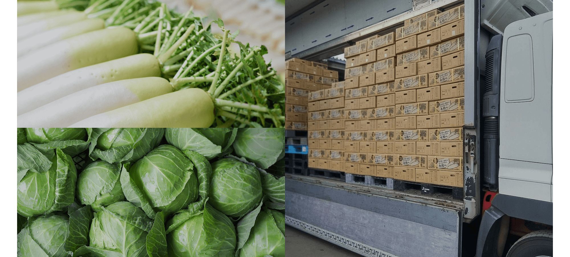 新鮮を届け、産業を支えます。幅広い物流で地域を動かす力になります